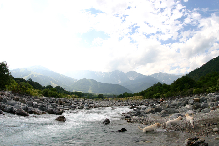c0089005_23132217.jpg