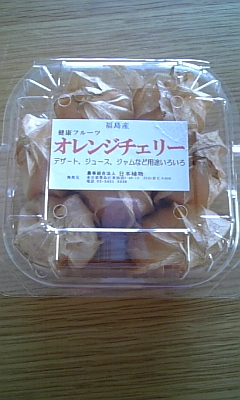 f0041311_02244.jpg