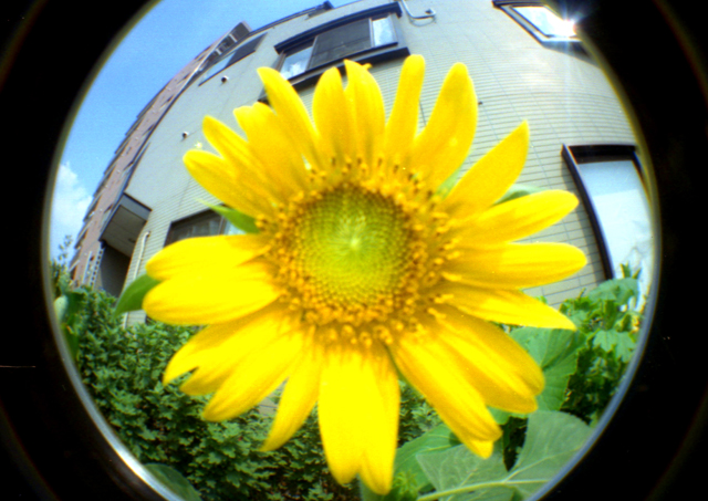 f0118214_2374759.jpg