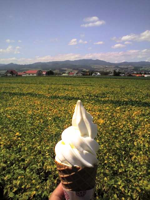 c0129317_10184384.jpg