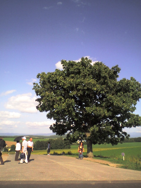 c0129317_10215945.jpg