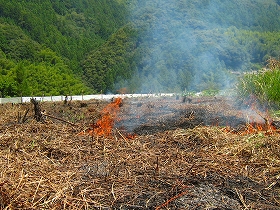 e0002820_17532430.jpg