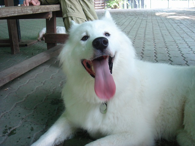d0059028_2250817.jpg