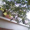 f0146828_23532951.jpg