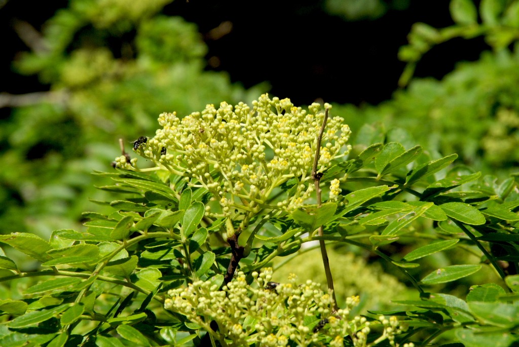 d0053930_713186.jpg
