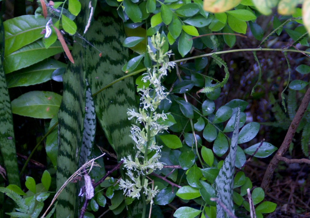 d0053930_762496.jpg