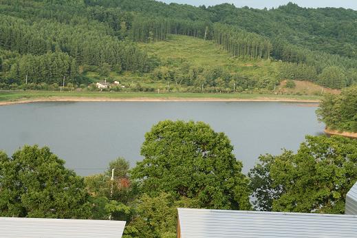 b0085331_14243981.jpg