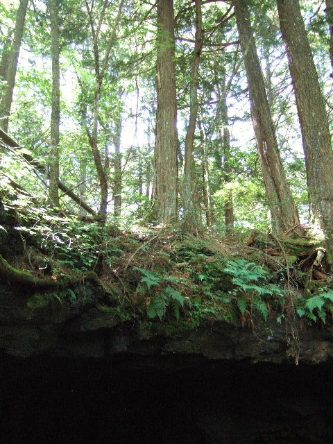 e0064133_18542092.jpg