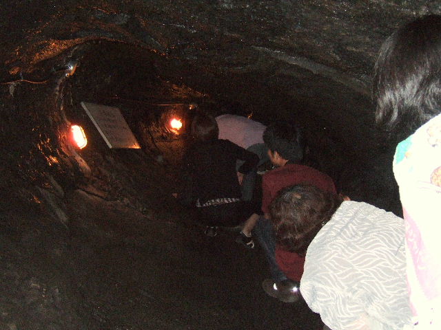 e0064133_1856659.jpg