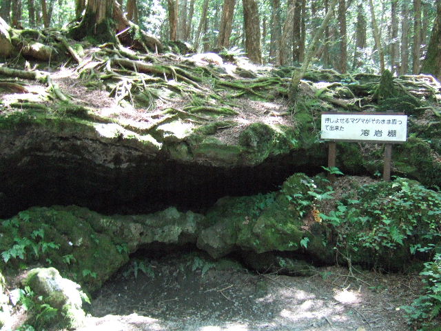 e0064133_21375068.jpg