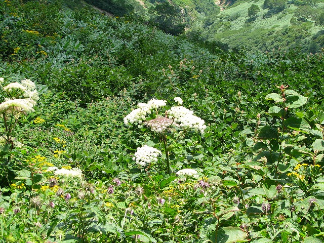 b0097836_21235441.jpg