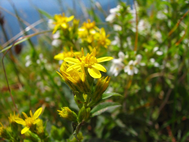 b0097836_21244649.jpg