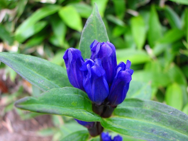 b0097836_21263767.jpg