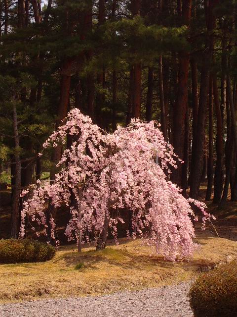 e0024736_2173476.jpg