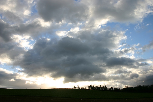 e0083238_2016975.jpg