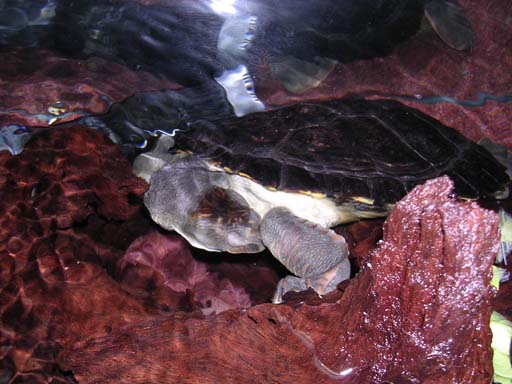 e0119439_2318522.jpg