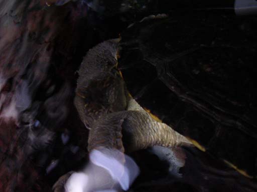 e0119439_23192079.jpg