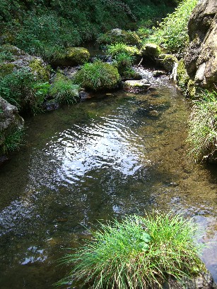 f0072846_20542980.jpg