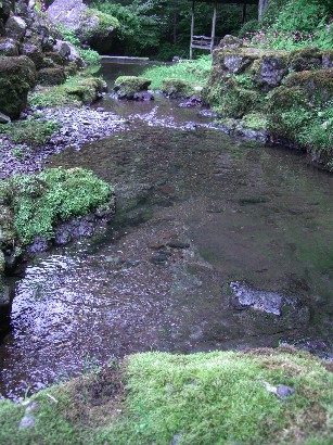 f0072846_20545891.jpg