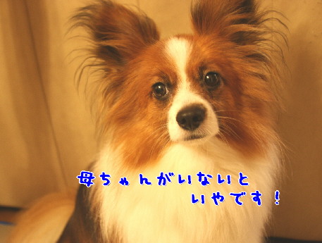 d0013149_043663.jpg