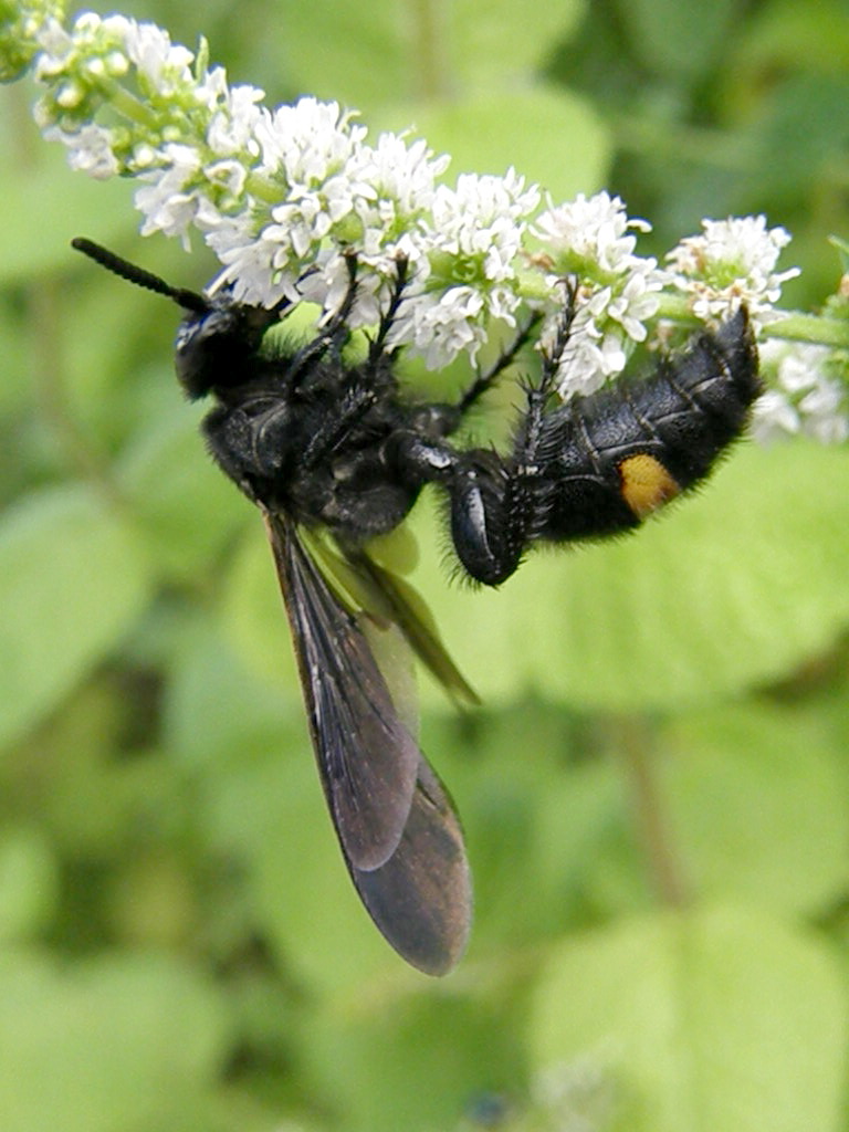 e0064158_0102049.jpg