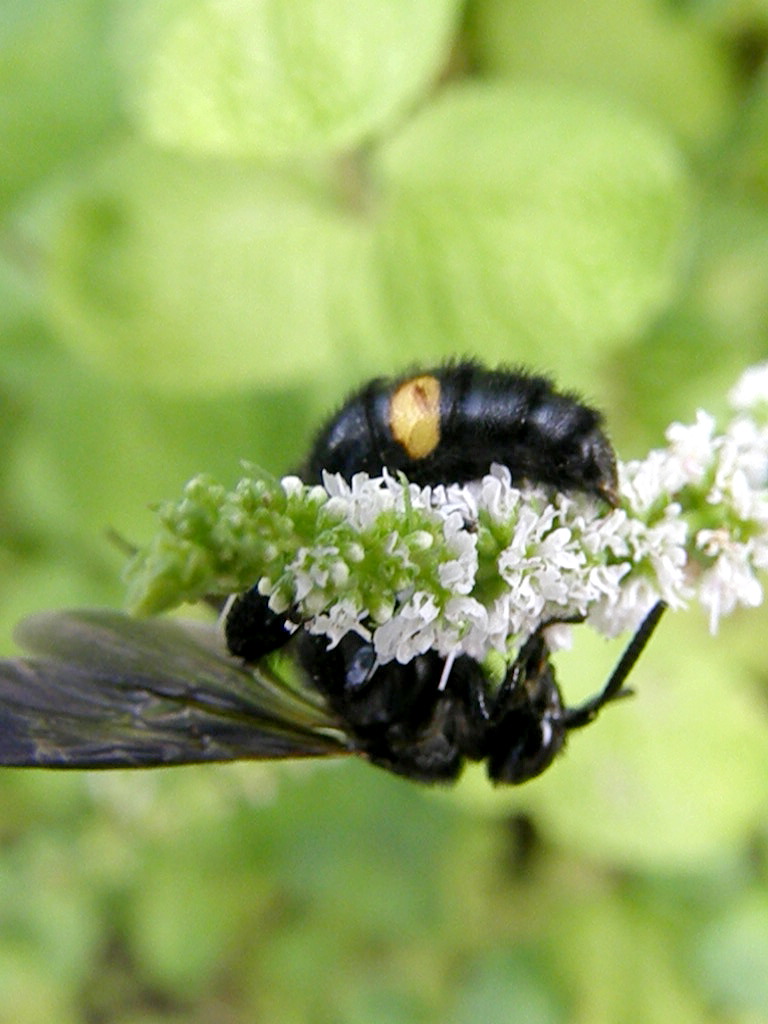 e0064158_0104957.jpg