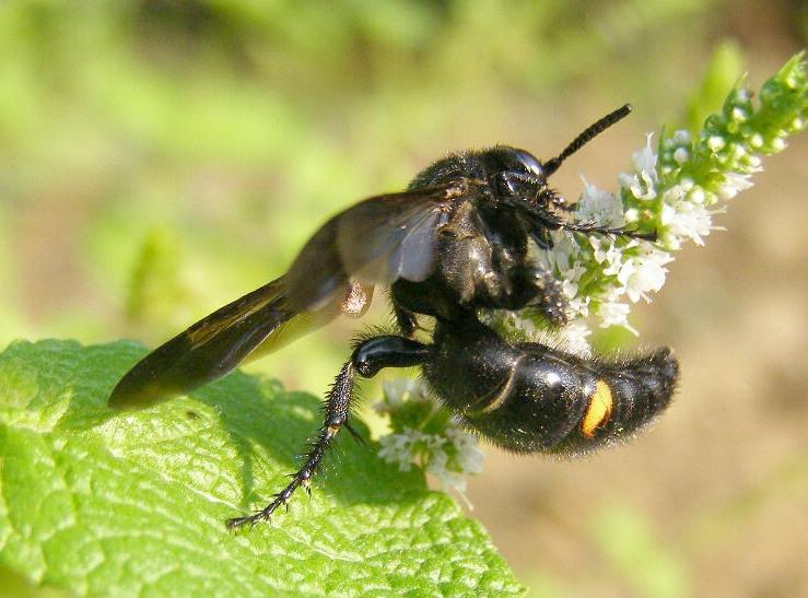 e0064158_0111020.jpg