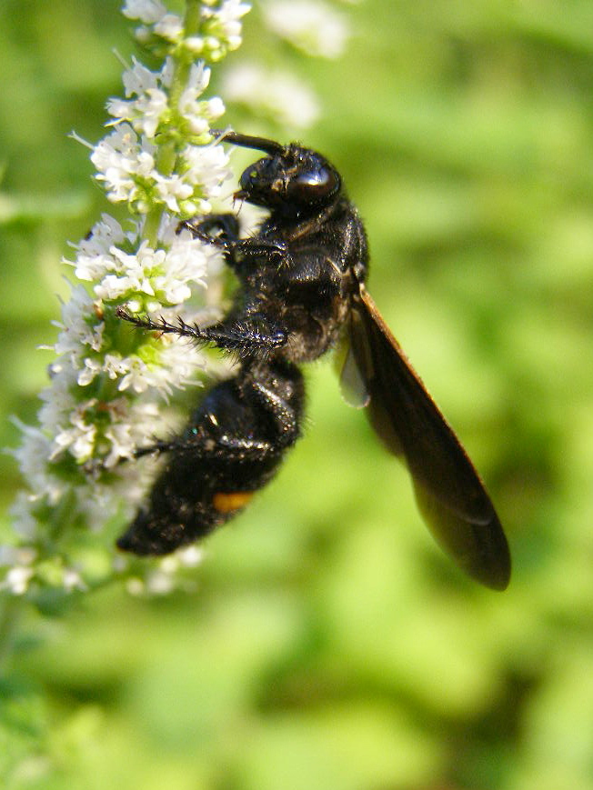 e0064158_012899.jpg