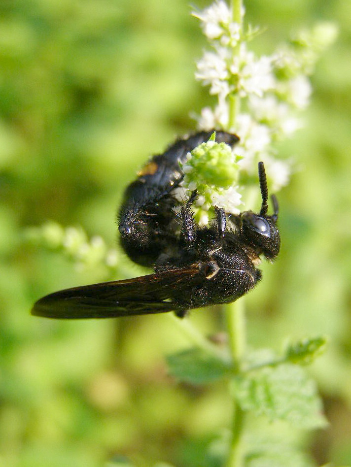 e0064158_0151868.jpg