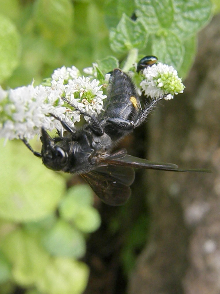 e0064158_0164368.jpg
