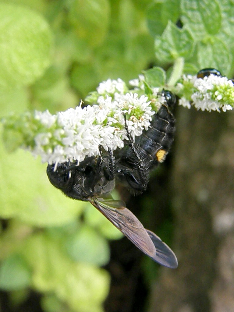 e0064158_017810.jpg