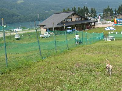 f0046262_2110111.jpg