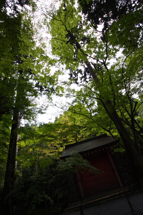 b0027267_2592462.jpg