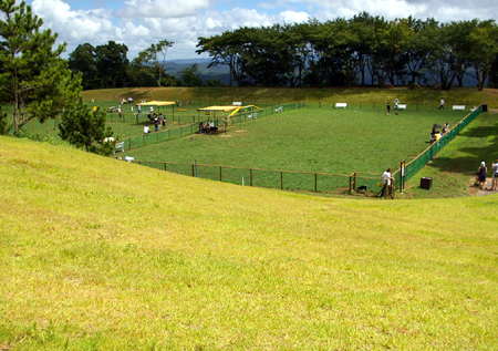c0032567_21475054.jpg
