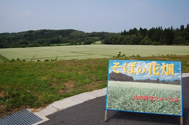 c0048667_18275764.jpg
