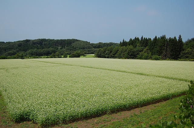 c0048667_1837585.jpg