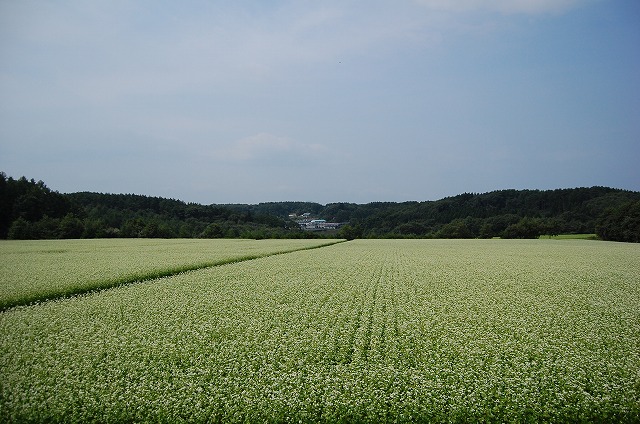 c0048667_1849386.jpg