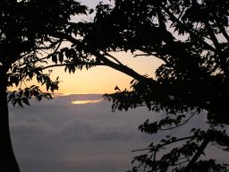 c0042869_17394957.jpg