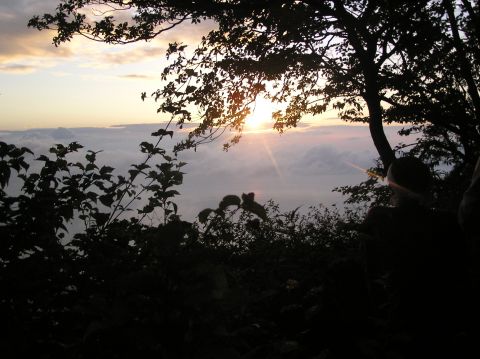 c0042869_17405477.jpg