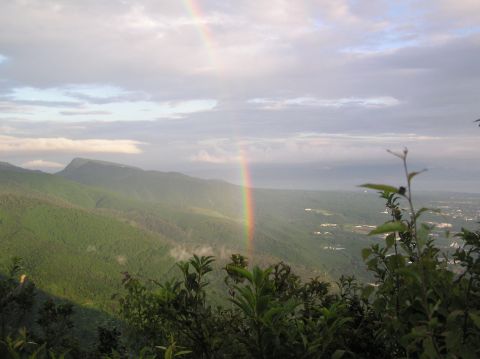c0042869_1751297.jpg
