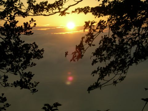 c0042869_19424577.jpg