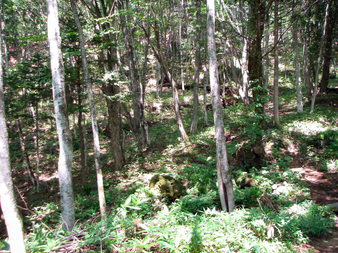 a0066081_22561143.jpg
