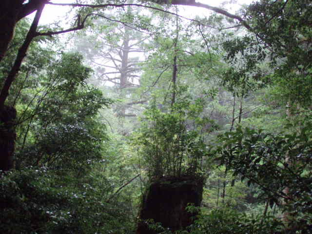 e0125483_22302751.jpg