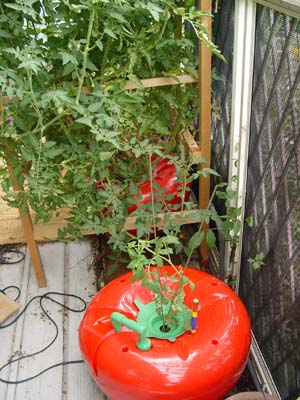 e0008586_0465932.jpg