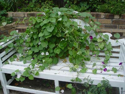 e0008586_21473490.jpg