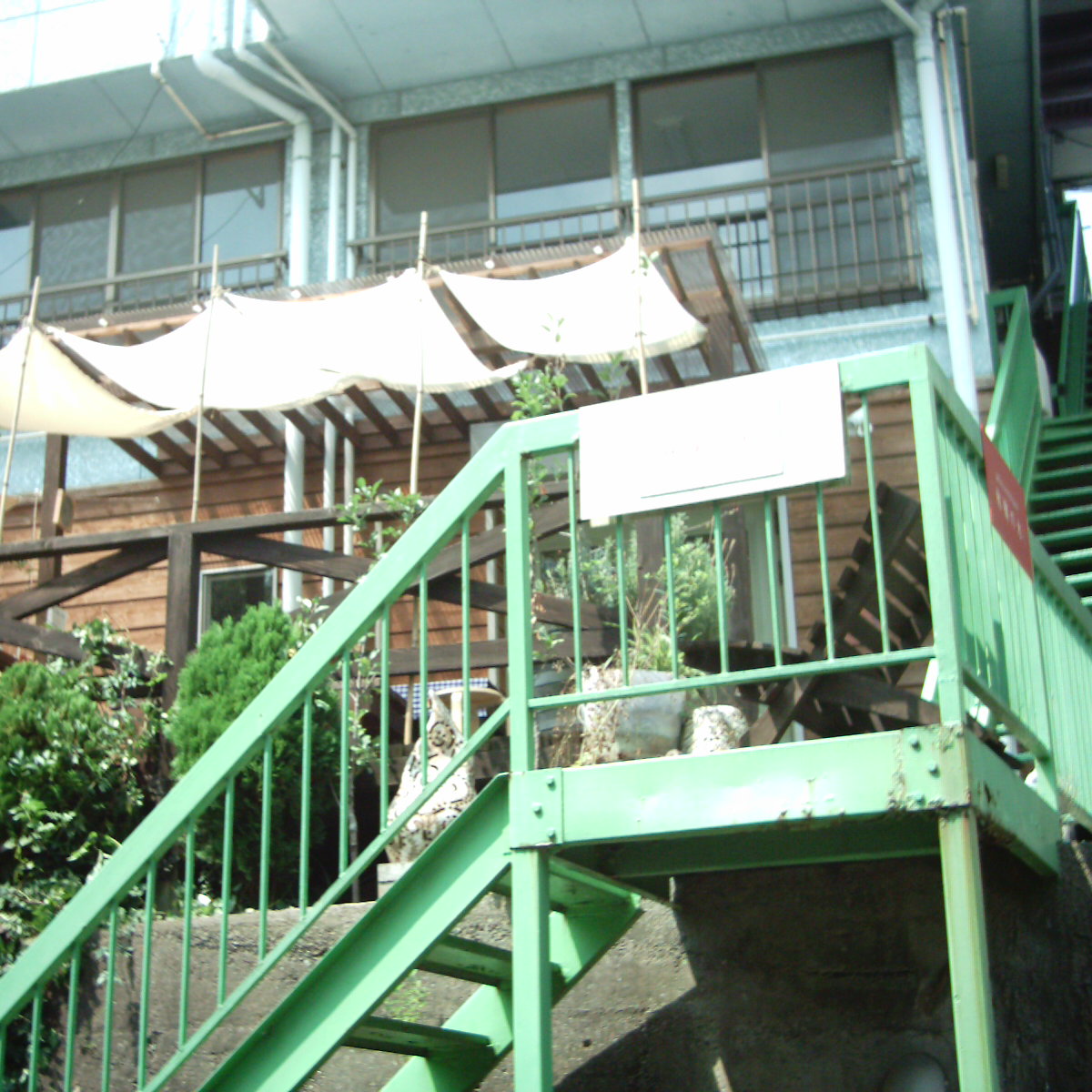 d0100192_2021461.jpg
