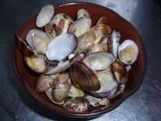 f0130894_22522836.jpg