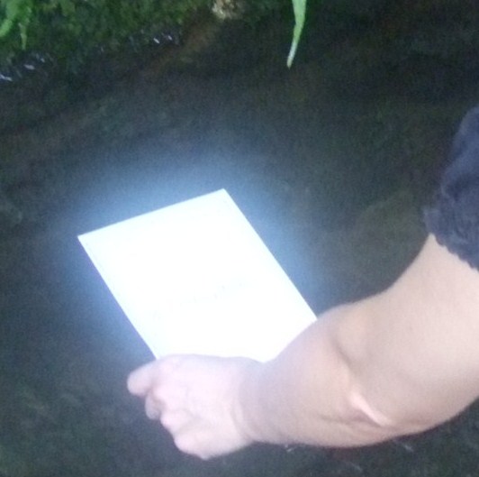 f0148595_10245128.jpg