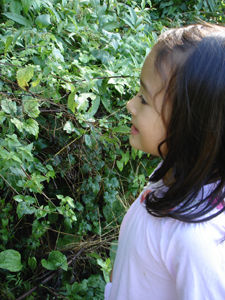 f0106597_657156.jpg