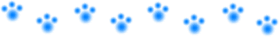 b0087400_2241017.gif